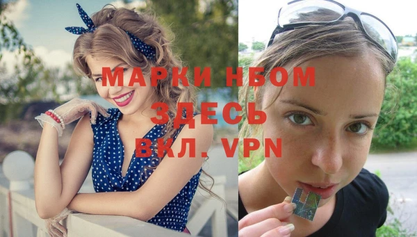 мяу мяу мука Новодвинск