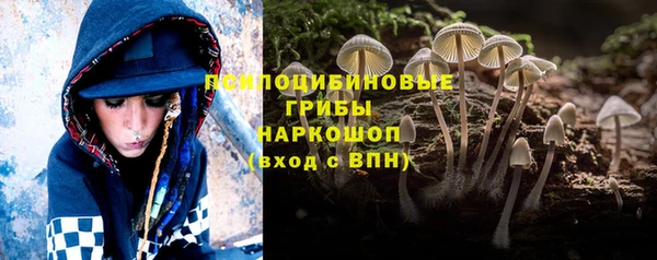 дурь Нея