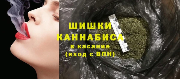 дурь Нея