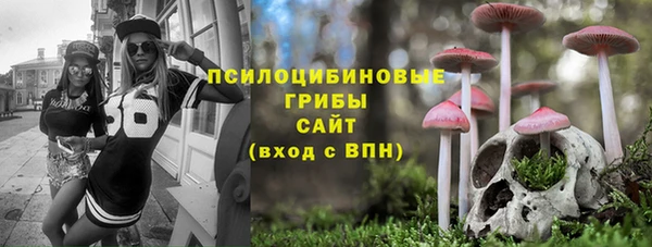 дмт Новокубанск